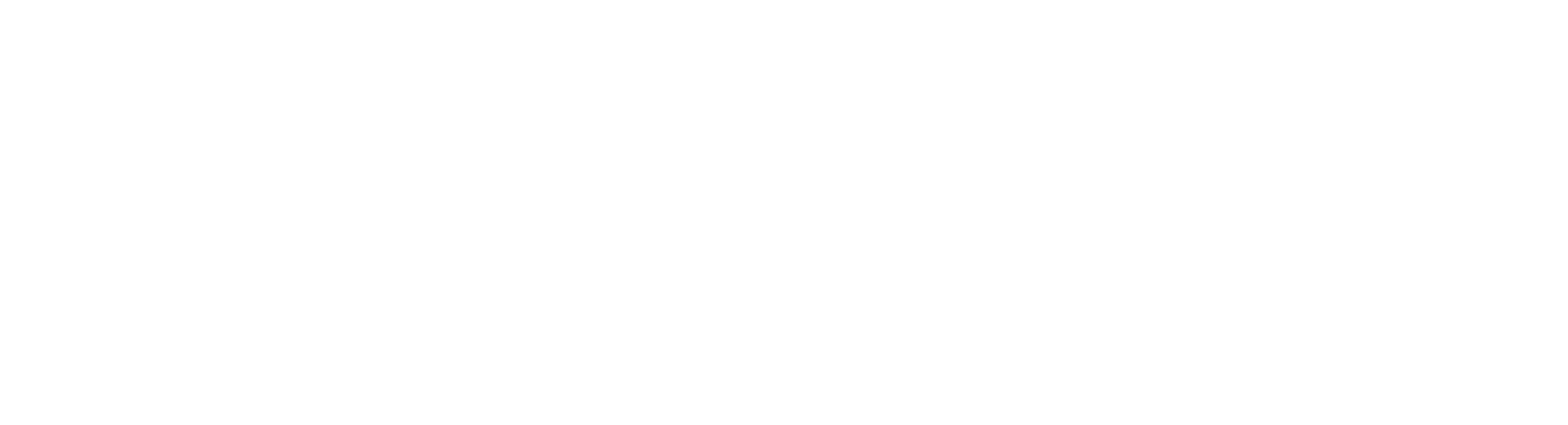 DocIgnite Website Footer Logo Webp