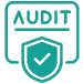 website audit